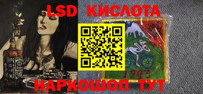 мдпв Кингисепп