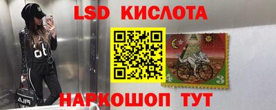 бошки Кимры