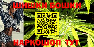 мдпв Кингисепп