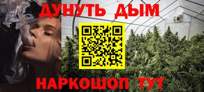 мдпв Кингисепп