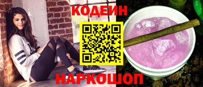 мдпв Кингисепп