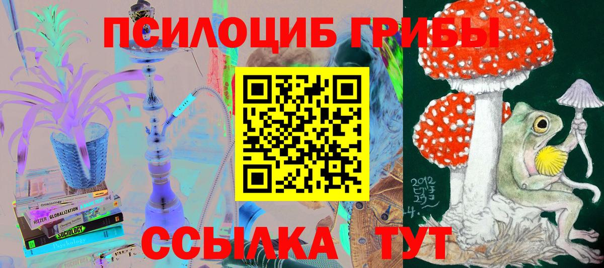 Псилоцибиновые грибы мухоморы Камышлов